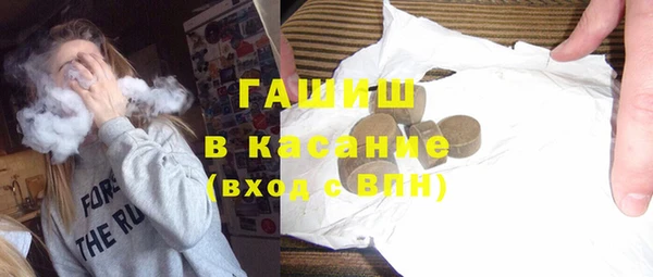 хмурый Дубна