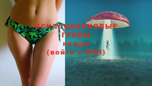 марки lsd Белокуриха
